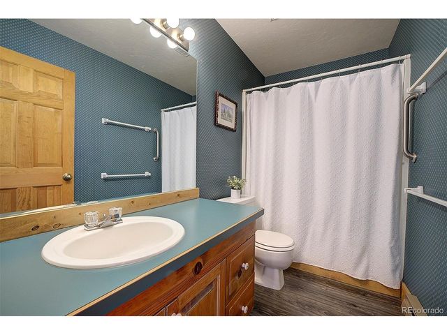 14372 Jubilee Trl, Pine, CO 80470