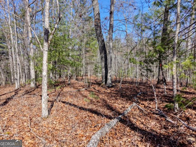 LOT 40 Lola Mae Way, Morganton, GA 30560
