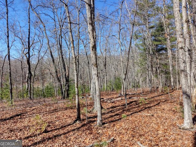 LOT 40 Lola Mae Way, Morganton, GA 30560