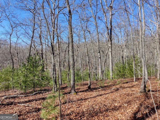 LOT 40 Lola Mae Way, Morganton, GA 30560
