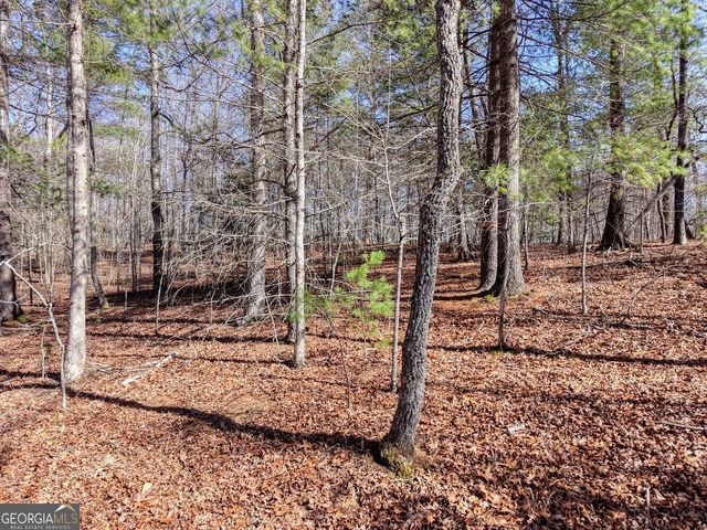 LOT 40 Lola Mae Way, Morganton, GA 30560