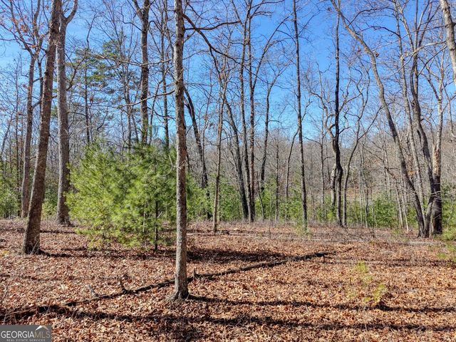 LOT 40 Lola Mae Way, Morganton, GA 30560