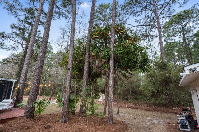 242 Hamon Avenue, Santa Rosa Beach, FL 32459