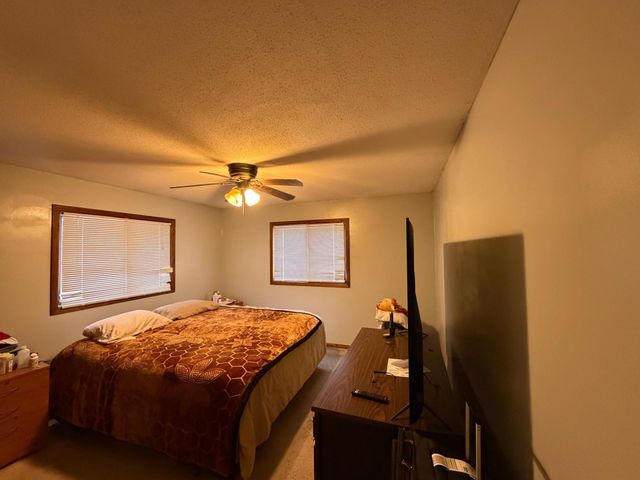 204 S Schendel Street, Blomkest, MN 56216