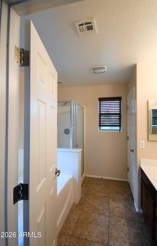 3886 S Star Canyon Drive, Gilbert, AZ 85297