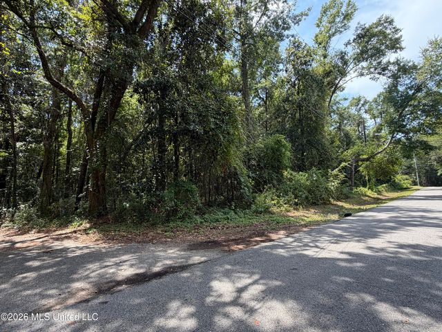 Brumbaugh Road, Ocean Springs, MS 39564