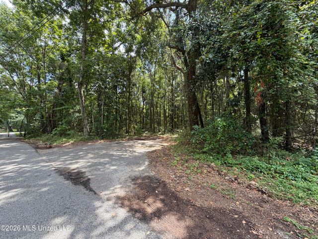 Brumbaugh Road, Ocean Springs, MS 39564