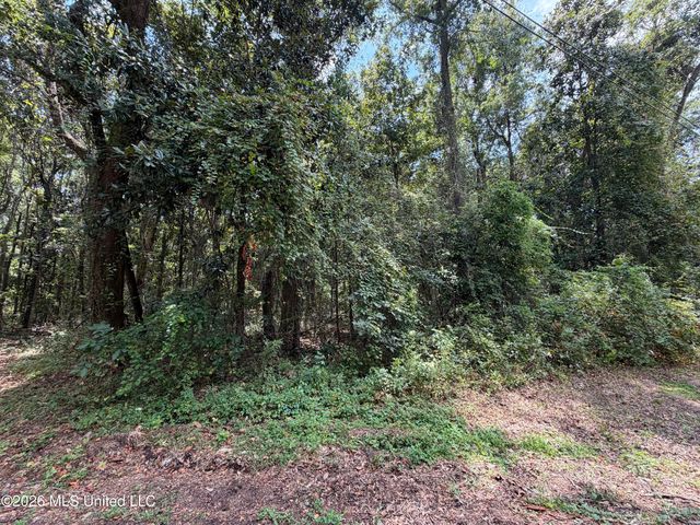 Brumbaugh Road, Ocean Springs, MS 39564