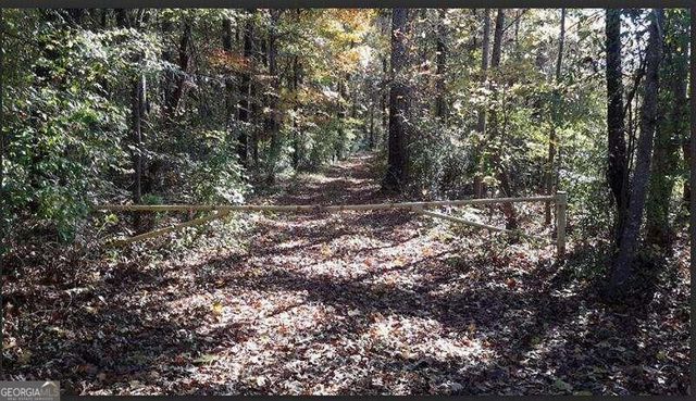 1047 Ponder Trammell Road, Juliette, GA 31046