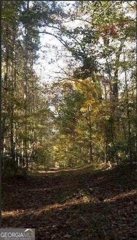 1047 Ponder Trammell Road, Juliette, GA 31046