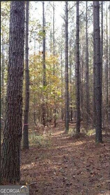 1047 Ponder Trammell Road, Juliette, GA 31046