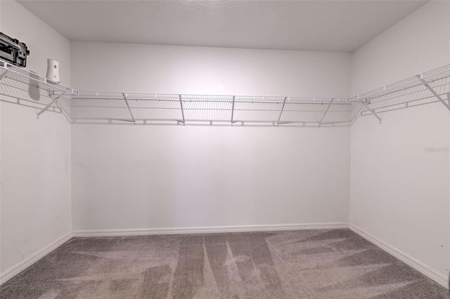 3511 COASTAL DUSK DRIVE, Plant City, FL 33565