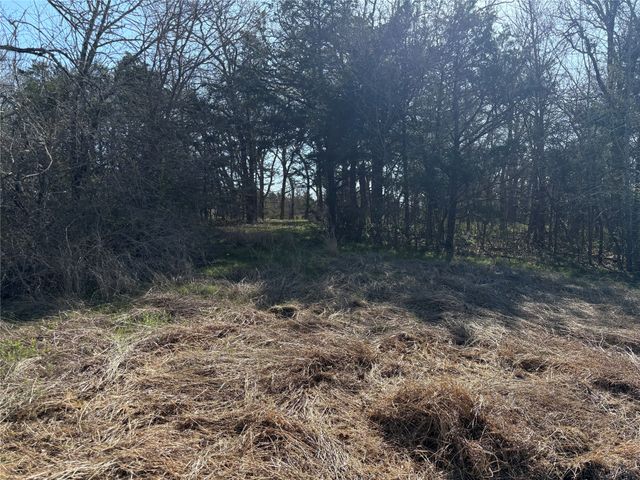 TBD Stribbling, Whitesboro, TX 76273