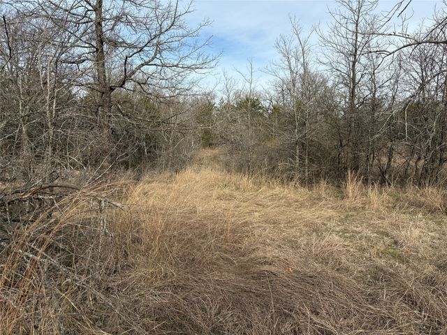 TBD Stribbling, Whitesboro, TX 76273