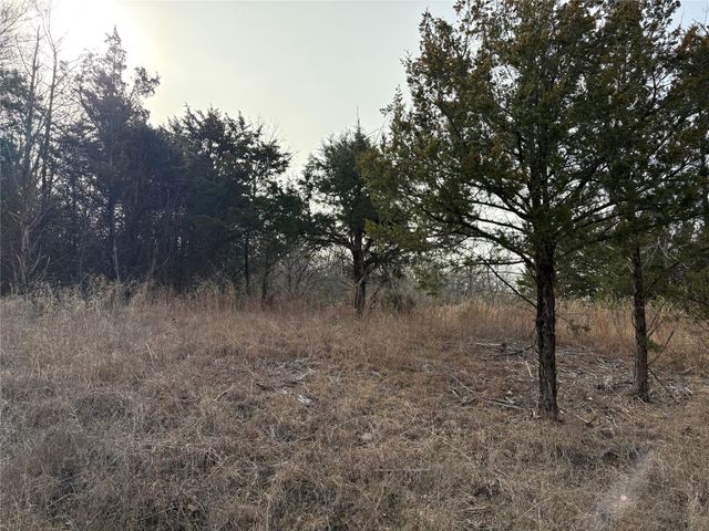 TBD Stribbling, Whitesboro, TX 76273