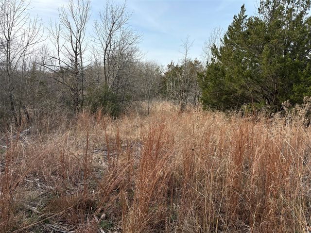 TBD Stribbling, Whitesboro, TX 76273