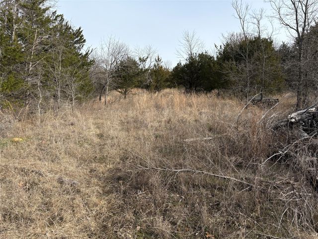 TBD Stribbling, Whitesboro, TX 76273