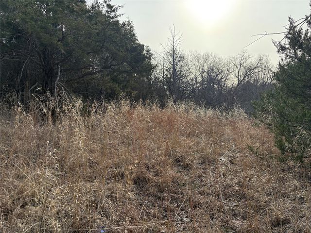 TBD Stribbling, Whitesboro, TX 76273