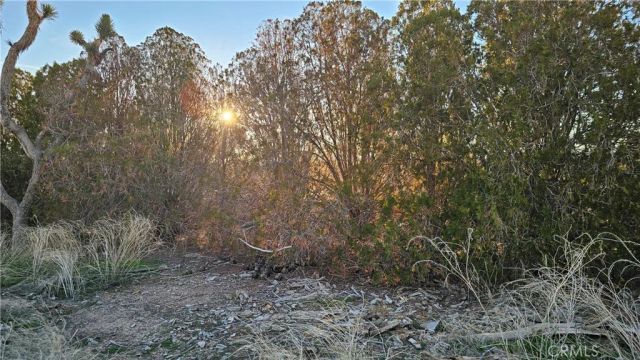 49019 120th Street East, Lancaster, CA 93535