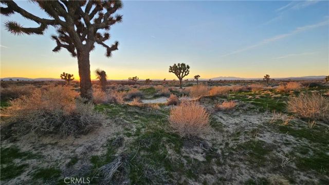 49019 120th Street East, Lancaster, CA 93535