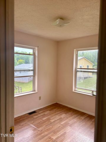 161 Jack Rival Way, Dungannon, VA 24245