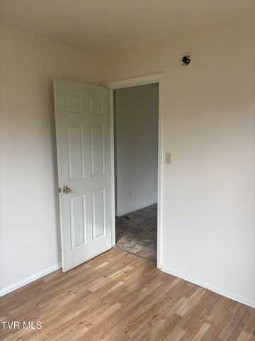 161 Jack Rival Way, Dungannon, VA 24245