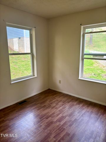 161 Jack Rival Way, Dungannon, VA 24245