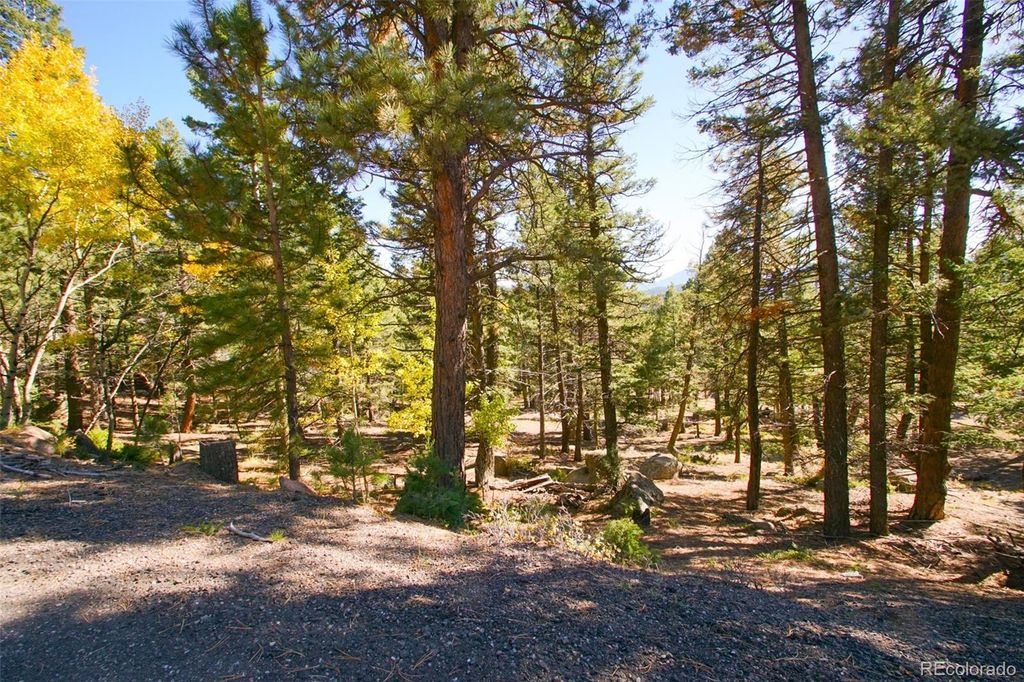 30402 Kings Valley, Conifer, CO 80433