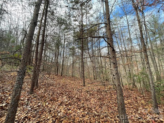 3308 Valley Drive 9m 10m, Lenoir, NC 28645
