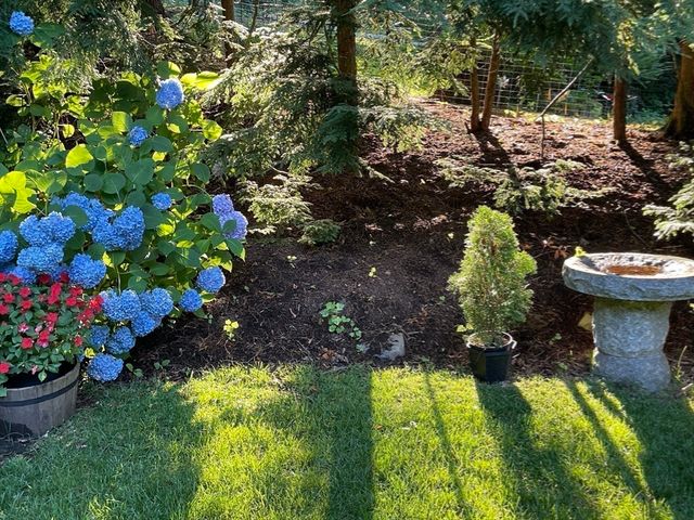 16 Alberta Rd, Brookline, MA 02467