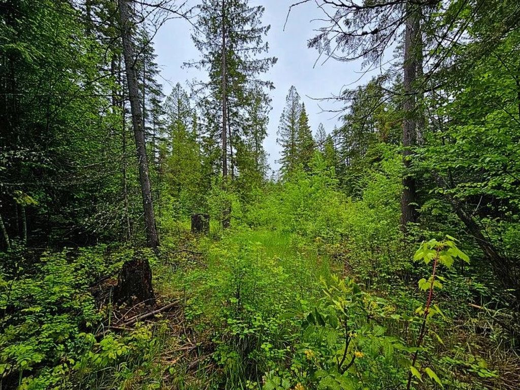 1895 TBD Blue Creek Rd, Addy, WA 99101 photo 14