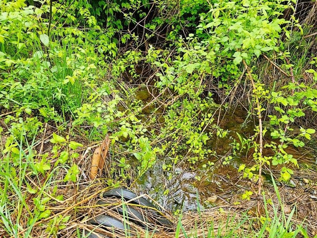 1895 TBD Blue Creek Rd, Addy, WA 99101 photo 6