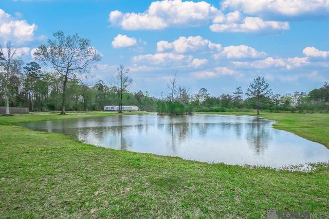 29090 Hwy 444 Highway, Springfield, LA 70462