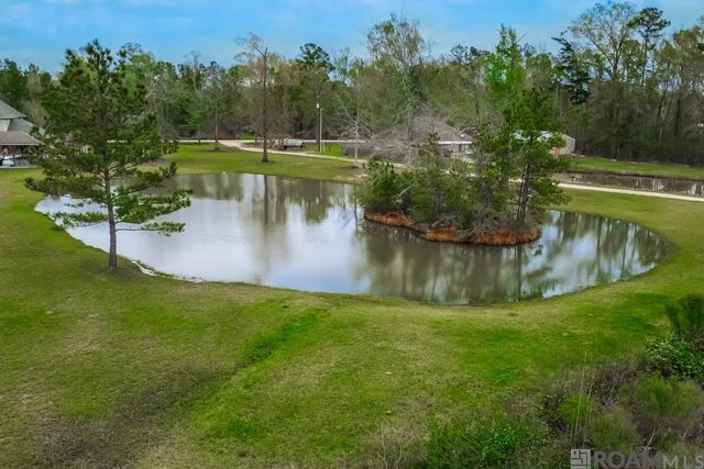 29090 Hwy 444 Highway, Springfield, LA 70462