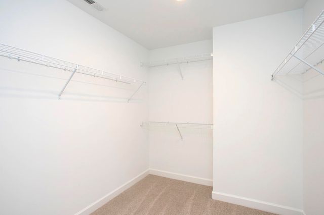 5019 Salient Dr, Spring Hill, TN 37174