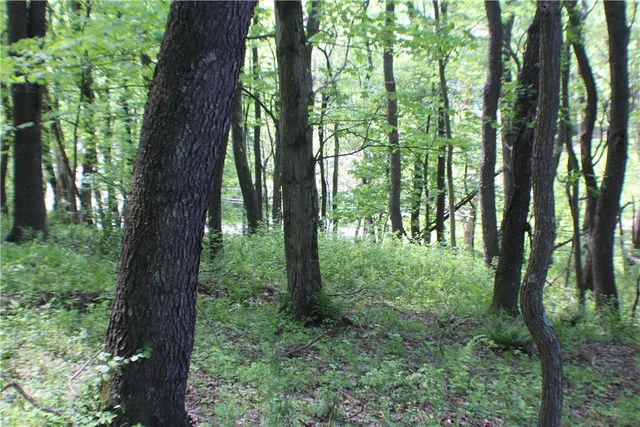 LOT Wexford Bayne Road, Marshall, PA 15090