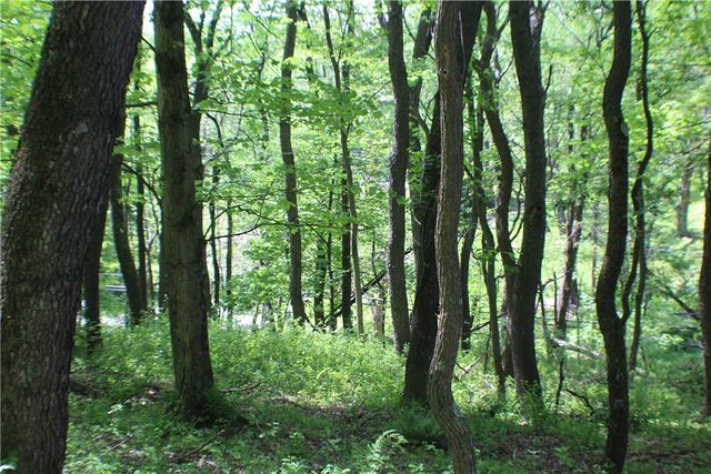 LOT Wexford Bayne Road, Marshall, PA 15090