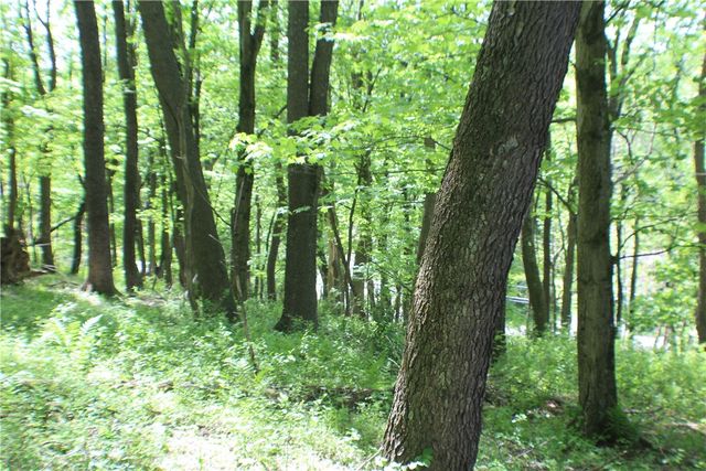 LOT Wexford Bayne Road, Marshall, PA 15090