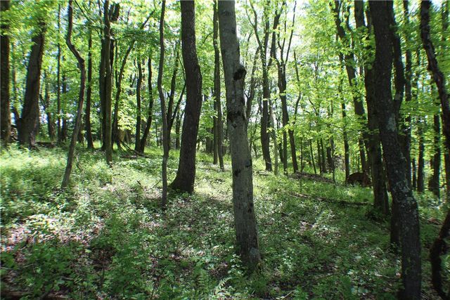 LOT Wexford Bayne Road, Marshall, PA 15090