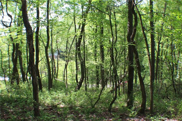 LOT Wexford Bayne Road, Marshall, PA 15090