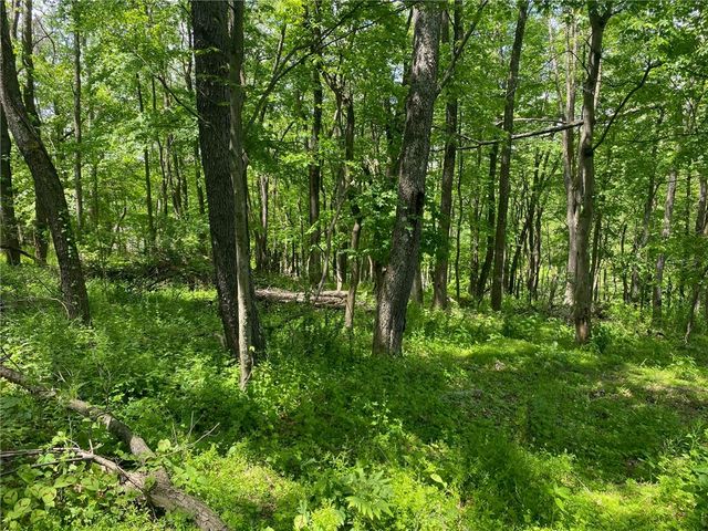 LOT Wexford Bayne Road, Marshall, PA 15090