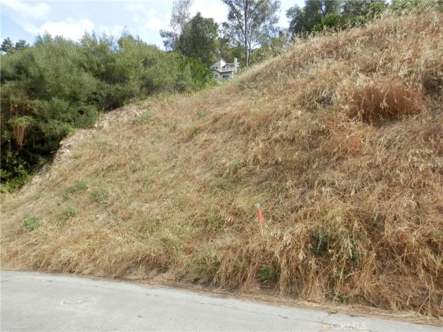 0 Dimmick, Los Angeles, CA 90065