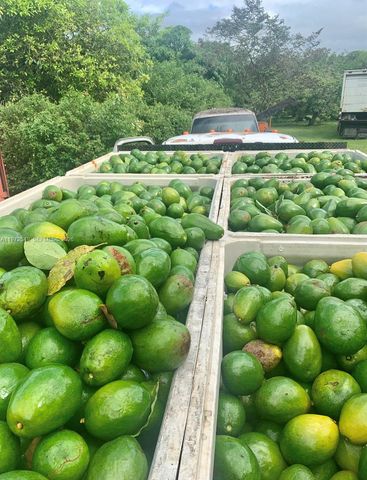 19401 SW 264th St, Homestead, FL 33031