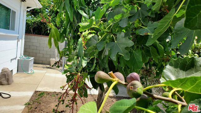 8130 Grimsby Avenue, Los Angeles, CA 90045