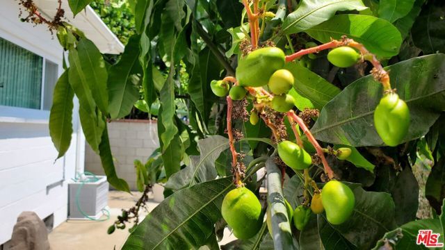 8130 Grimsby Avenue, Los Angeles, CA 90045