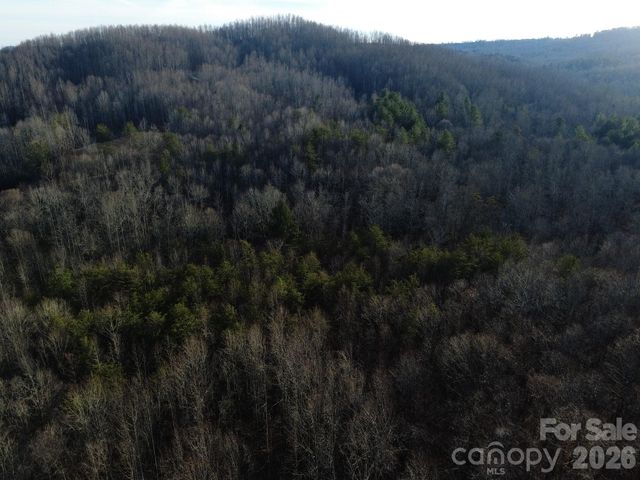 Lot 24 Double Eagle Drive 24, Nebo, NC 28761
