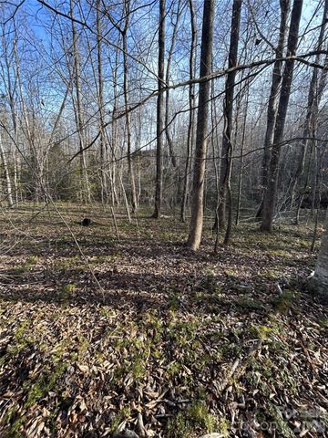 Lot 24 Double Eagle Drive 24, Nebo, NC 28761