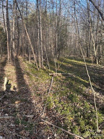 Lot 24 Double Eagle Drive 24, Nebo, NC 28761