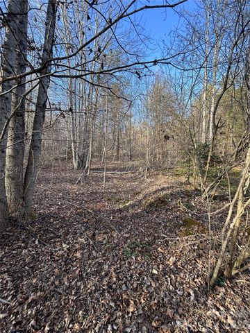 Lot 24 Double Eagle Drive 24, Nebo, NC 28761