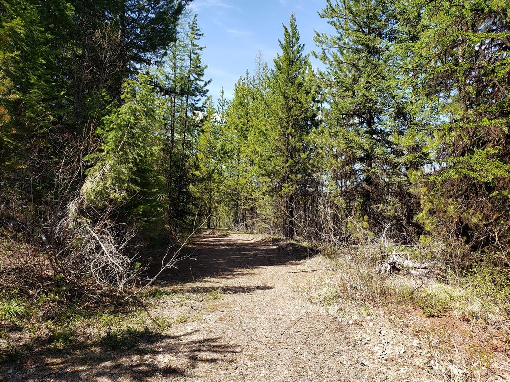 Tract 10 Ida Lode Nine Mile Road, Huson, MT 59846 photo 2
